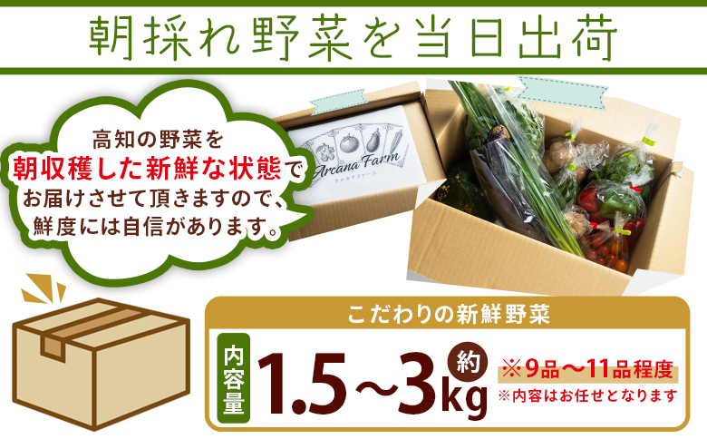 こだわりの新鮮野菜 12回定期 Waf-0006