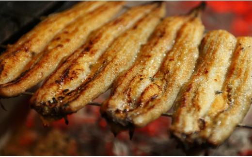 【１２回定期便】炭火手焼のうなぎ蒲焼130g×１尾セット 蒲焼のたれ付き Wfb-0024