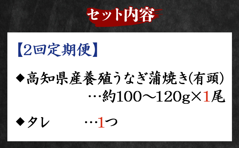 【２回定期便】高知県産養殖うなぎ蒲焼き 100～120g 1尾 Wfb-0033 1尾【2回定期便】 100～120g