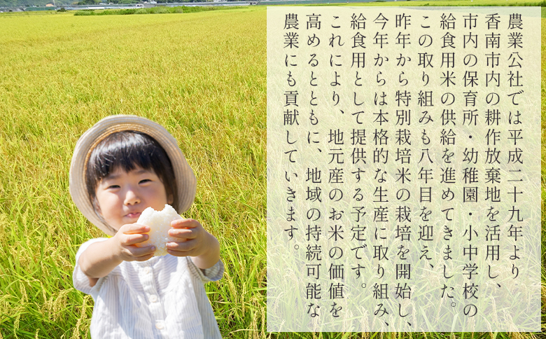 【２回定期便】高知県香南市産 特別栽培米 コシヒカリ 10kg Wnu-0008 2回定期便 約10kg