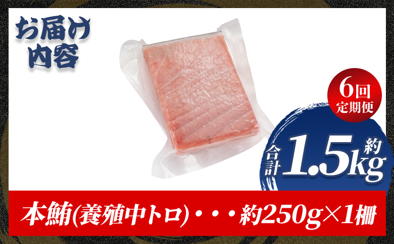 中トロ 定期便 6回 約250g 1冊 本マグロ Woo-0029 【6回定期便】 約250g×1柵
