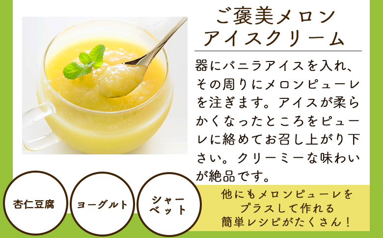 【2回定期便】完熟マスクメロンピューレ 120g×6袋 Wtn-0030