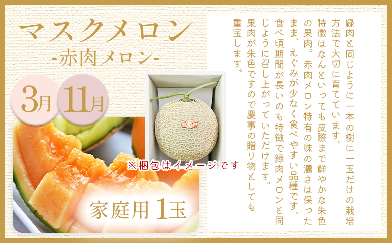 【８回定期便】メロン堪能定期便 Wtn-0043