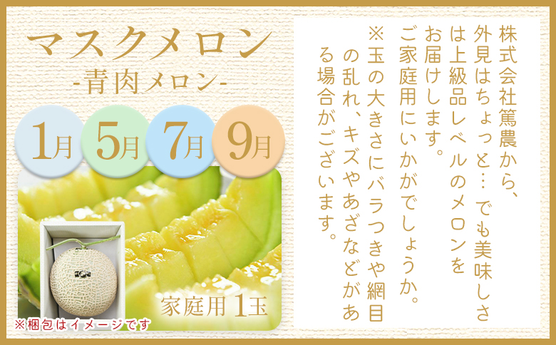 【12回定期便】メロン堪能定期便 Wtn-0044