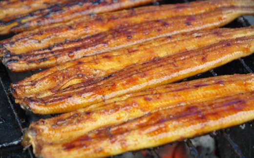 うなぎ 定期便 6回 うなぎ蒲焼き&白焼き120g 2尾(無頭) Wun-0049