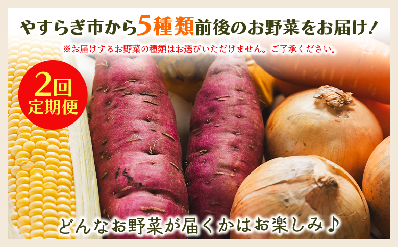 【２回定期便】産地直送やさいＢＯＸ（5種類前後） 国産野菜 朝採れ野菜 厳選野菜 旬野菜 Wyr-0028