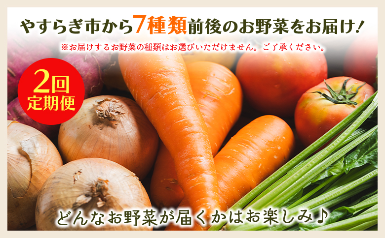 【２回定期便】やすらぎ市 産地直送やさいＢＯＸ（7種類前後） Wyr-0034