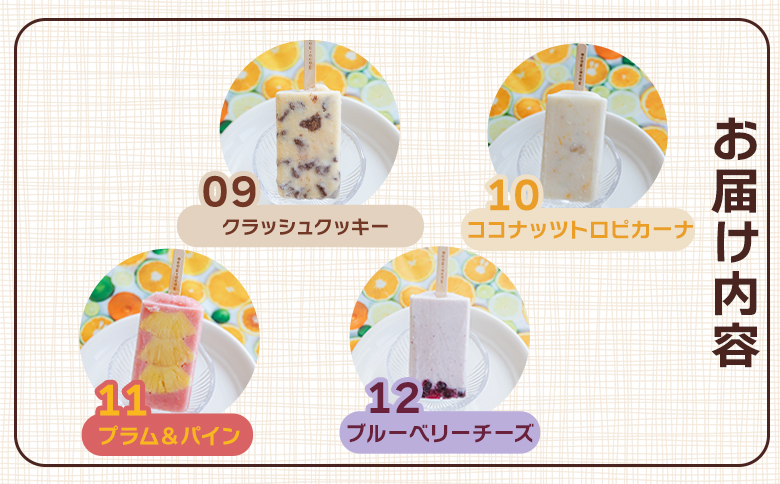 【２回定期便】手作りアイスキャンディー １２本セット Wys-0017