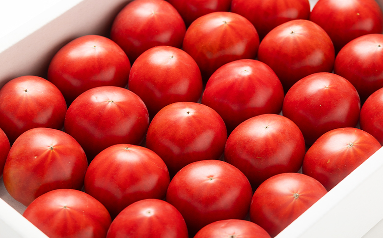 【2回定期便】夜須のフルーツトマト 約2kg Wyu-0026