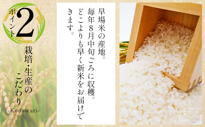 新米 令和7年産 コシヒカリ 2kg - お米 おこめ 国産 米 精米 こしひかり ごはん 白米 ご飯 おにぎり おむすび 料理 調理 防災 非常食 備蓄 早い すぐ届く 早く届く スピード配送 スピード発送 高知県 香南市 at-0045 2kg
