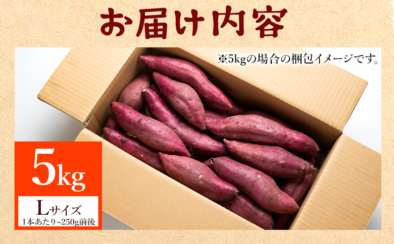 さつまいも(紅はるか) Lサイズ 5kg at-0062 約5kg Lサイズ