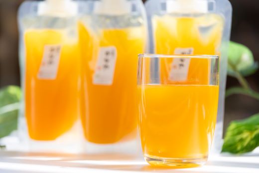 みかんジュース ストレート 100%ストレート パウチ  合計9本 飲み比べ ストレート 3種 セット 土佐乃かなやの三姉妹 みかんジュース - 柑橘 ミカン 蜜柑 果物 フルーツ 果汁 100％ 飲み比べ 詰め合わせ ギフト のし対応可 合同会社Benifare be-0084