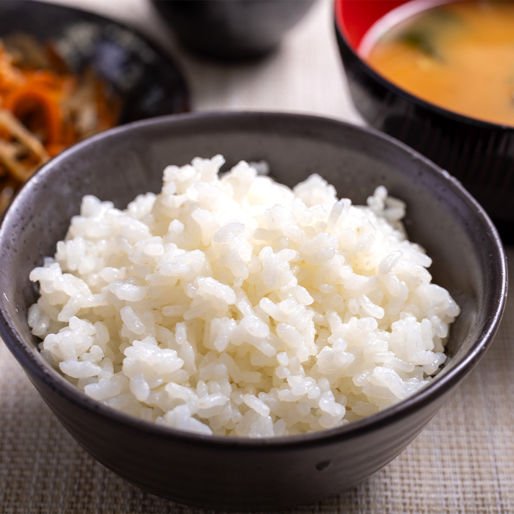 【7日程度で発送】新米 令和7年産 無洗米 コシヒカリ 10kg - お米 白米 精米 早く届く スピード発送 最短配送 早い cs-0002