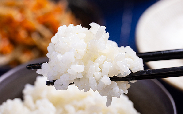 新米 令和7年産 コシヒカリ 約5kg - 国産 高知県産 精米 白米 db-0039