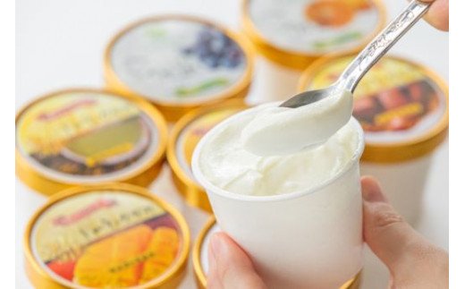 ドルチェかがみ 土佐リアン スペシャルジェラートセット 8個入り dc-0055