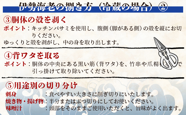 活 伊勢海老 計1kg(1～5匹) 冷蔵 - 活き伊勢海老 訳あり 国産 エビ えび 海鮮 魚介 産地直送 プリプリ 味噌汁 刺身 焼き物 汁物 えび蔵 高知県 香南市 冷蔵 10000円以上 1万円以上 eb-0044