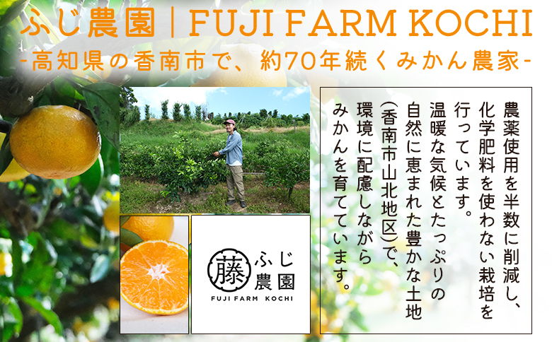 【2026年10月以降順次配送分】ふじ農園の露地みかん 贈答用 10kg (2S～M) - 国産 蜜柑 ミカン 柑橘 果物 フルーツ 贈答 プレゼント ギフト 贈り物 ふじ農園 高知県 香南市 常温 fn-0011 贈答用 10kg (2S?M)