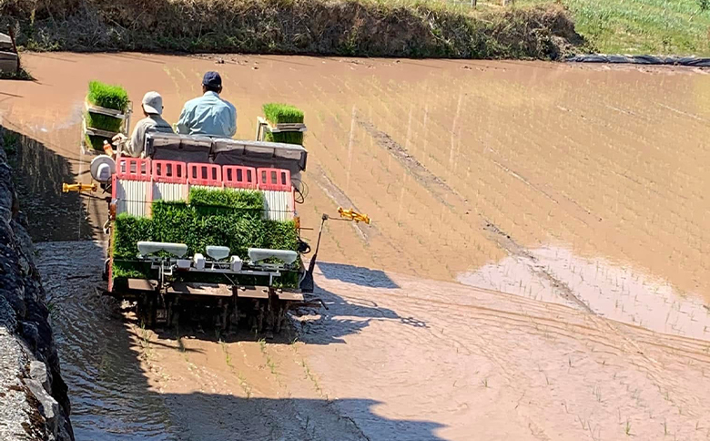 コシヒカリ 計１０kg ga-0007