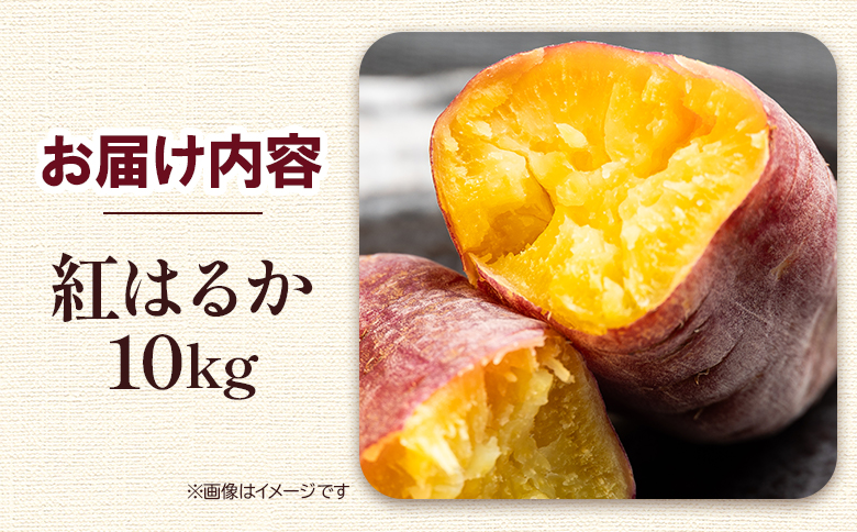 さつまいも 紅はるか10kg gr-0133