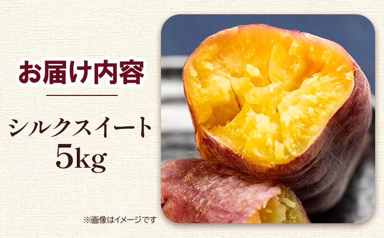 さつまいも シルクスイート 5kg gr-0134