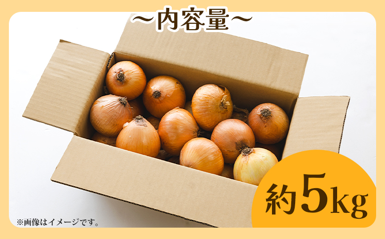 玉ねぎ 5kg 農福