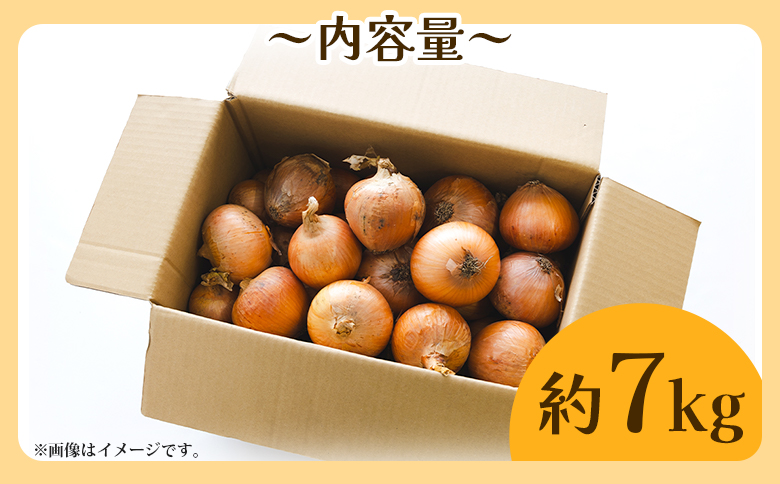 玉ねぎ 約7kg（大小混合・家庭用）- 農福 香南市産 国産 たまねぎ タマネギ 玉葱 野菜 オニオンスープ ハンバーグ 常備野菜 保存野菜 香南くろしお園 高知県 香南市 ke-0005