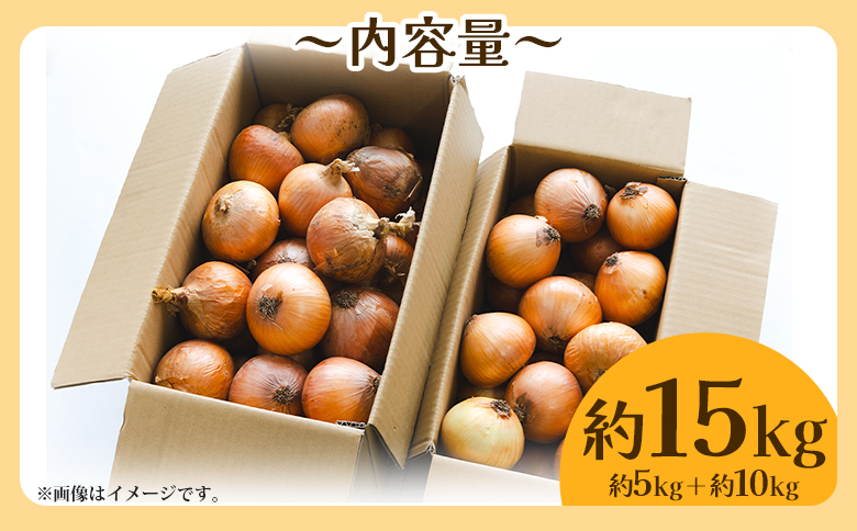 玉ねぎ 約15kg（大小混合・家庭用）- 農福 香南市産 国産 たまねぎ タマネギ 玉葱 野菜 オニオンスープ ハンバーグ 常備野菜 保存野菜 香南くろしお園 高知県 香南市 ke-0007
