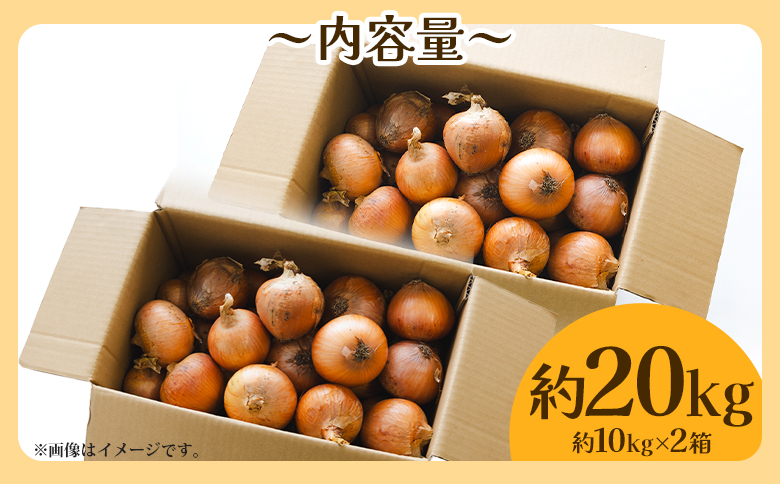 玉ねぎ 約20kg（大小混合・家庭用）- 農福 香南市産 国産 たまねぎ タマネギ 玉葱 野菜 オニオンスープ ハンバーグ 常備野菜 保存野菜 香南くろしお園 高知県 香南市 ke-0008