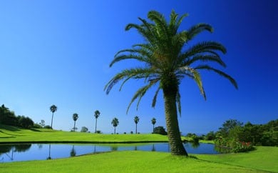 Kochi 黒潮カントリークラブ ゴルフ場利用券 9,000円分 9,000円分