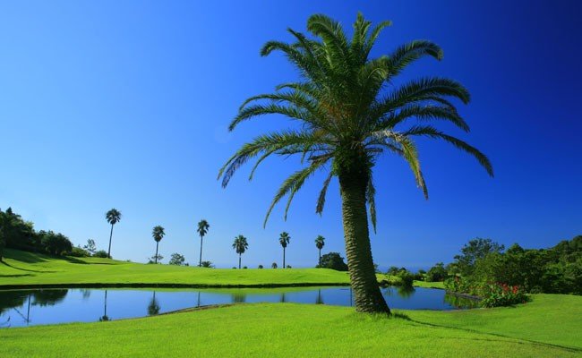 Kochi 黒潮カントリークラブ ゴルフ場利用券 90,000円分 90,000円分