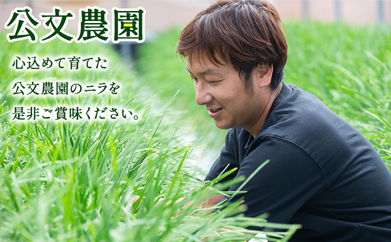 ニラ 生産量日本一 香南市産のニラ 1kg（100g×10束） 公文農園 kk-0001