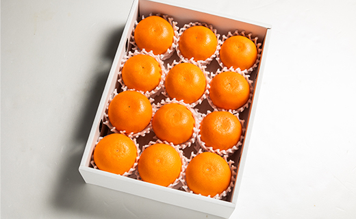 【2026年先行予約】とろっとジューシー柑橘の女王 せとか 8～14玉 ku-0041