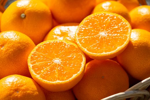 【発送開始】山北みかん 約3kg