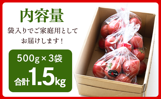 家庭用 野菜ソムリエが育てた フルーツトマト 500g×3袋 合計1.5kg mj-0021