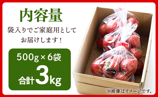 【先行受付】家庭用 野菜ソムリエが育てた フルーツトマト 500g×6袋 合計3kg mj-0022