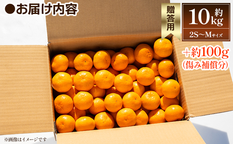 【2026年出荷分】露地みかん(2S～Mサイズ) 10kg 贈答用 丸萬農園 mn-0010 贈答用 約10kg