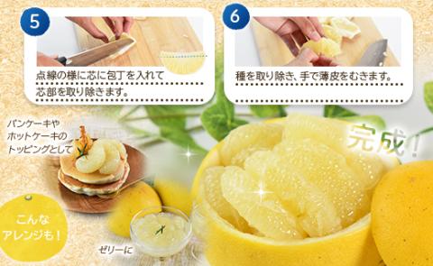 土佐文旦 約10kg (2L～4Lサイズ) 約10kg