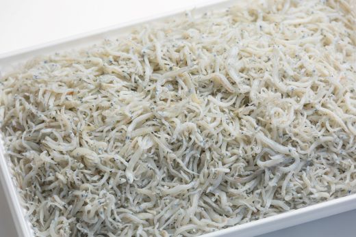 【冷蔵】釜あげしらす(ちりめん) 約2kg mu-0017