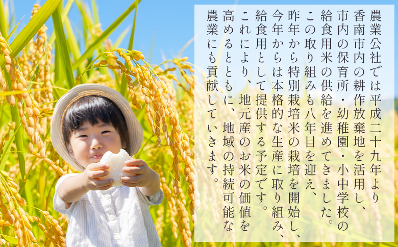 無洗米 高知県香南市産 特別栽培米 真空パック コシヒカリ 10kg - 国産 米 お米 おこめ こしひかり 白米 ごはん おにぎり おむすび ご飯 農業公社 高知県 香南市 常温 nu-0004 1回配送 約10kg