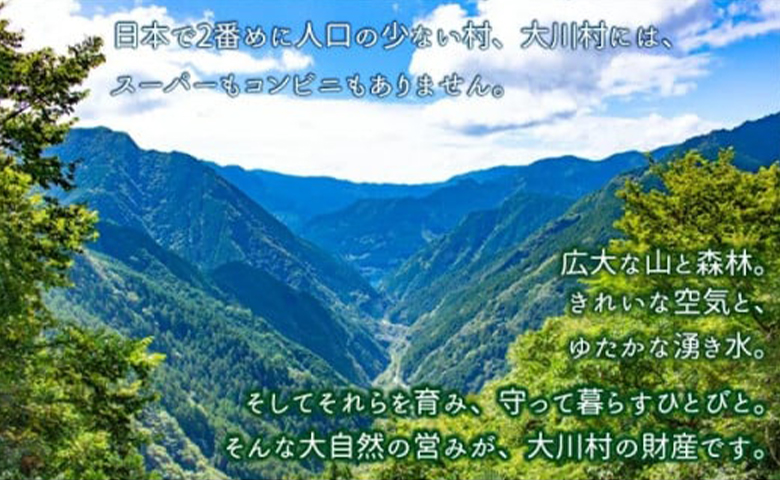 土佐はちきん地鶏ハンバーグセット（150g×8個+はちきん地鶏 ポン酢200ml） ow-0022