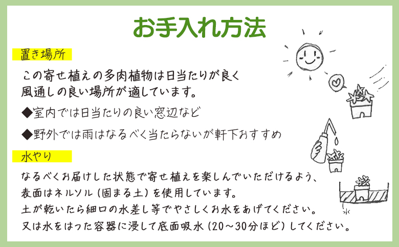 多肉植物 多肉 寄せ植え 1個 - 鉢植え インテリア ガーデニング おしゃれ グリーン プレゼント 観葉植物 多肉 植物 寄せ植え かわいい お楽しみ 自然 PUKUTTO 高知県 香南市 pk-0004