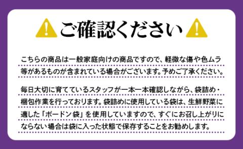 立仙農園 うちのナス 合計5kg - なす 茄子 なすび ナスビ 生鮮 野菜 やさい 朝採れ 新鮮 rs-0003 約5kg（5本入り×12?13袋）