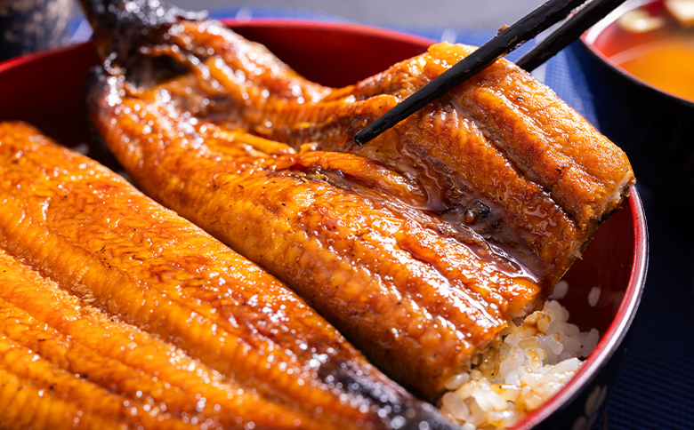 高知県産養殖うなぎ蒲焼 100～120g 2尾セット(合計200g以上) ss-0044