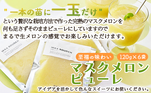 マスクメロン ピューレ 計720ｇ