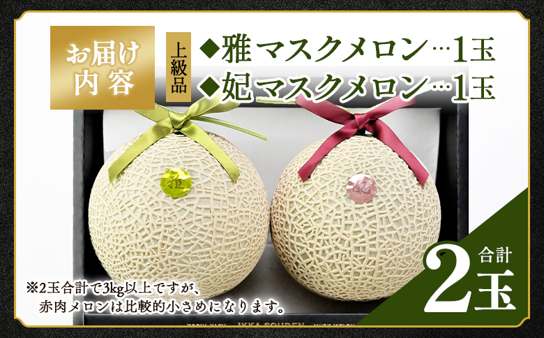 【先行予約受付】メロン 赤肉 青肉 ２玉 高級 上級品 雅&妃 マスクメロン 各１玉 - 青肉メロン 赤肉メロン セット めろん フルーツ くだもの 果物 完熟 おやつ 化粧箱入り ご褒美 果肉 果汁 ジューシー 果実 甘い 糖度 産地直送 篤農 tn-0027