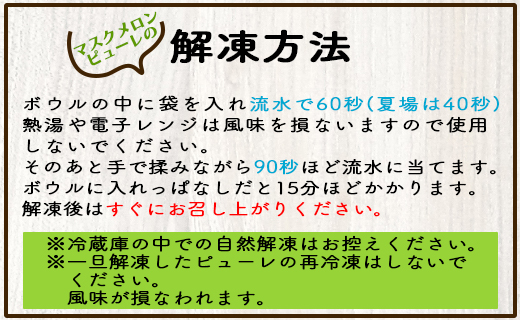 ピューレ メロンピューレ バニラアイスクリーム 3個セット 青肉 アイス 「めざましどようび キクエがキクヨ！」で特集 JALファーストクラス機内食に採用 マスクメロンピューレと高知のバニラアイス - 果物 くだもの めろん 果実 果汁 tn-0028