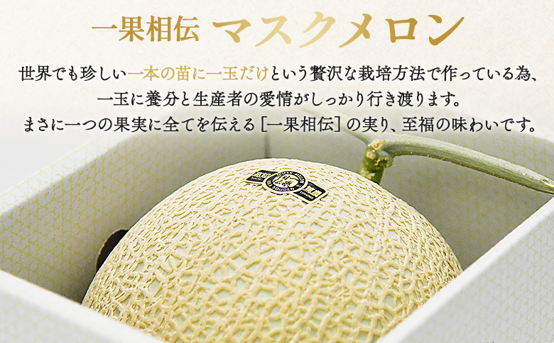 【発送開始】マスクメロン家庭用 3玉入り フルーツ メロン 果物 デザート tn-0029 メロン 通常配送 3玉【家庭用】