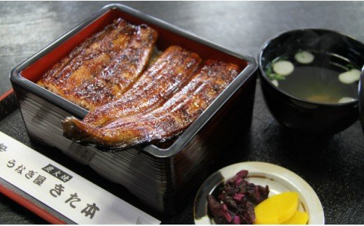 うなぎ蒲焼き 2尾(合計約240g)(無頭)  - 送料無料 鰻 ウナギ 晩御飯 おかず おつまみ アテ スタミナ プレゼント ギフト 贈答 丑の日 父の日 敬老の日 うなぎ屋きた本 高知県 香南市 冷凍 un-0014