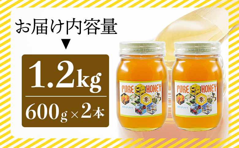 和田養蜂場 百花はちみつ 600g×2本 - 蜂蜜 ハチミツ ハニー 朝食 トースト おやつ デザート スイーツ アレンジ ティータイム 送料無料 高知県 香南市 wh-0004