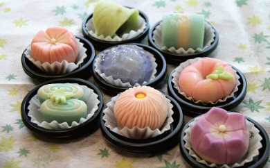 上生菓子 詰め合わせ 8個 和菓子 高級 和菓子ランキング 季節 セット 人気 花 合同会社武市神栄堂 - 四季折々 春 夏 秋 冬 送料無料 ギフト お祝い のし 武市神栄堂 お菓子 おやつ 家族団らん お茶の時間上 生菓子 詰め合わせ 和菓子 yd-0019